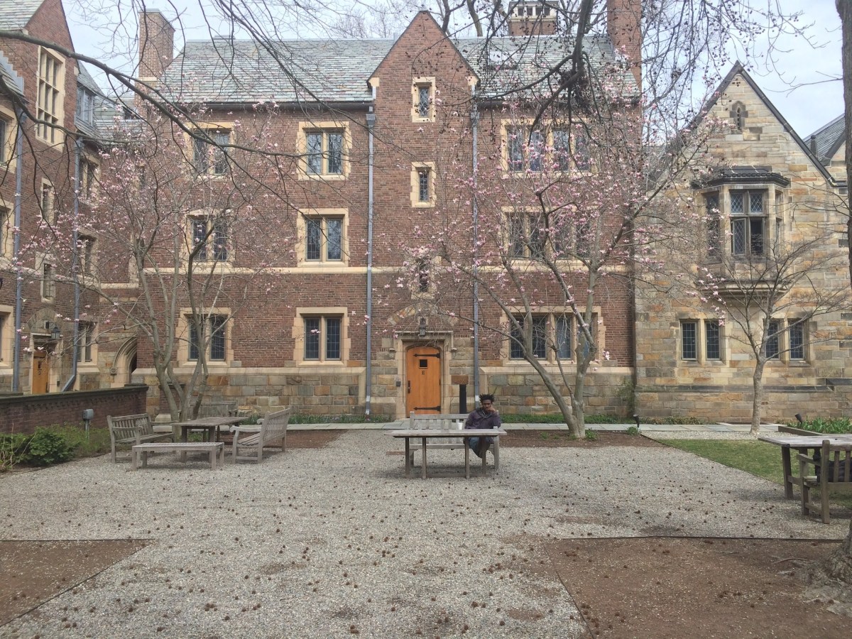 Insights, Beliefs, Hunches